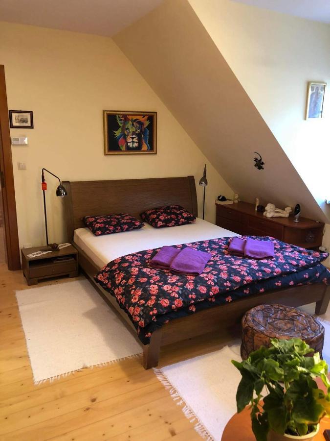 Bed and Breakfast Willa Nad Popradem Piwniczna-Zdroj Exterior foto